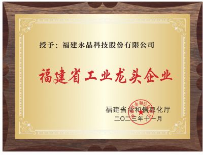 福建省工业龙头企业