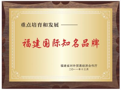 福建国际知名品牌